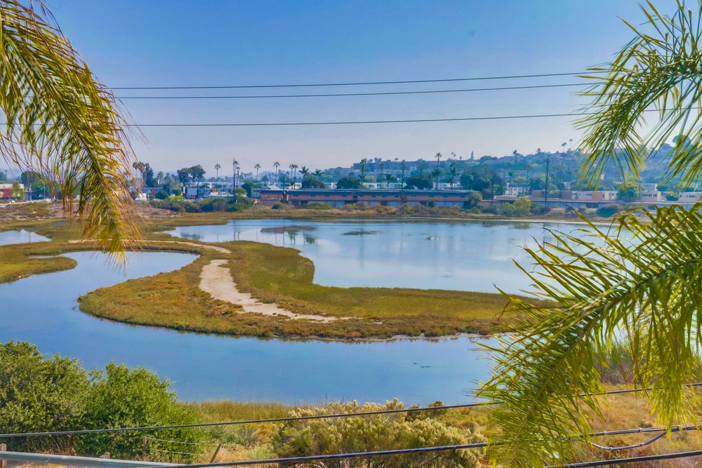 Virtual tour photo 9 of 38 for 2828 Famosa Blvd UNIT 305