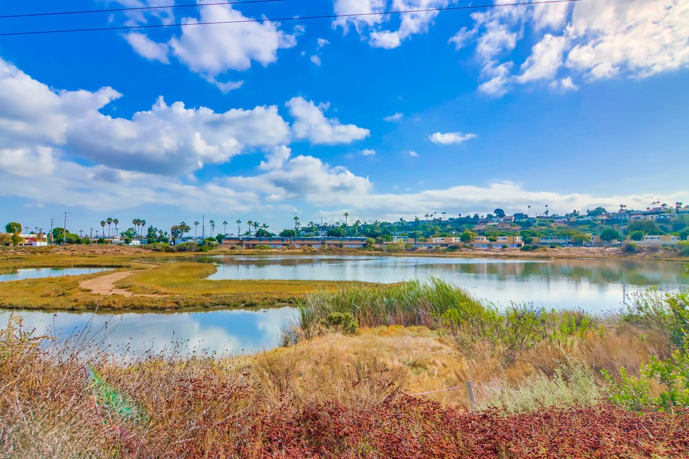 Virtual tour photo 51 of 50 for 2828 Famosa Blvd