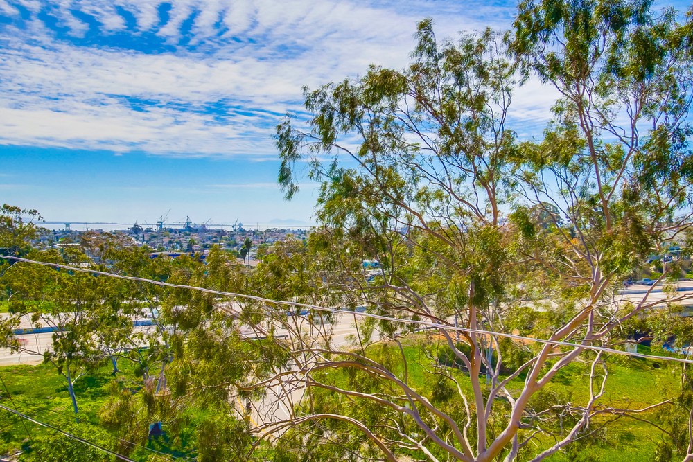 Virtual tour photo 35 of 55 for 2849 E St #15