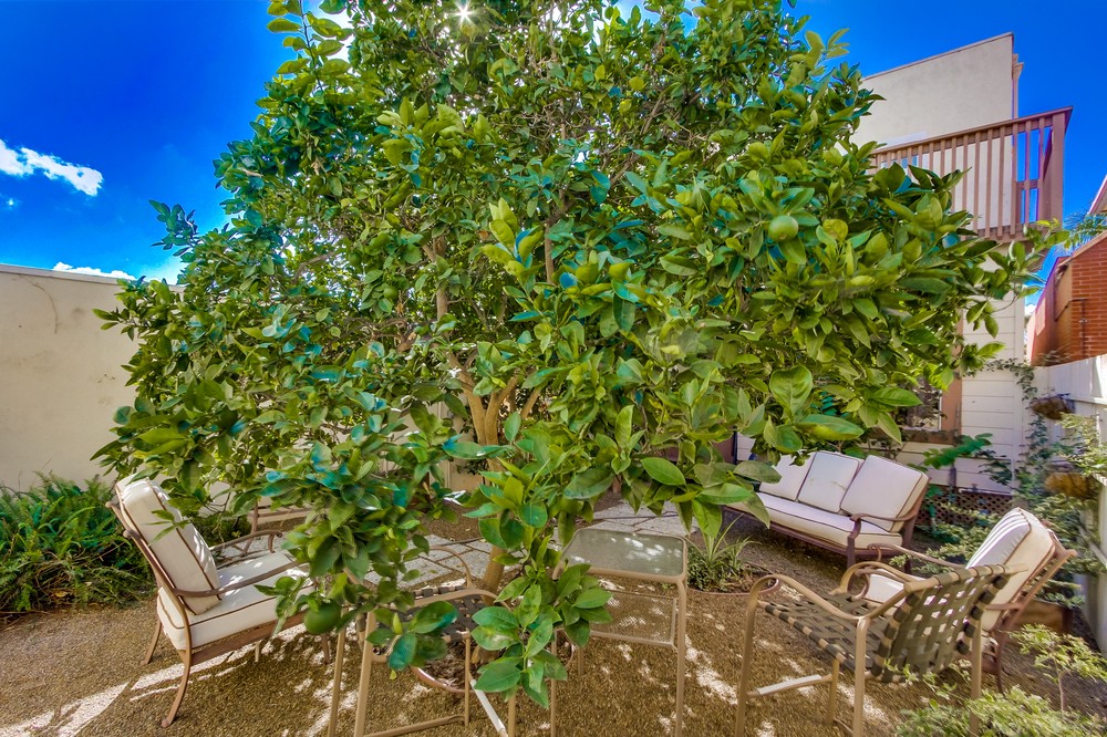 Virtual tour photo 57 of 83 for 2918 Emerson Street