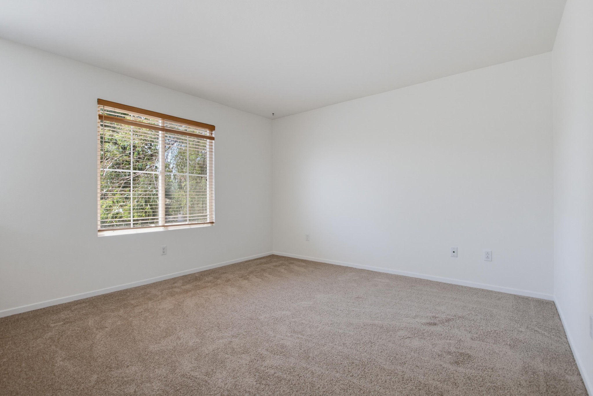 Virtual tour photo 28 of 71 for 2980 Oakstone Creek Pl