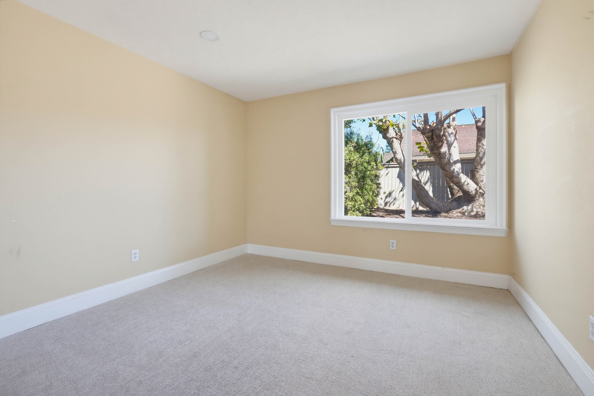 Virtual tour photo 50 of 84 for 3 Sunrose