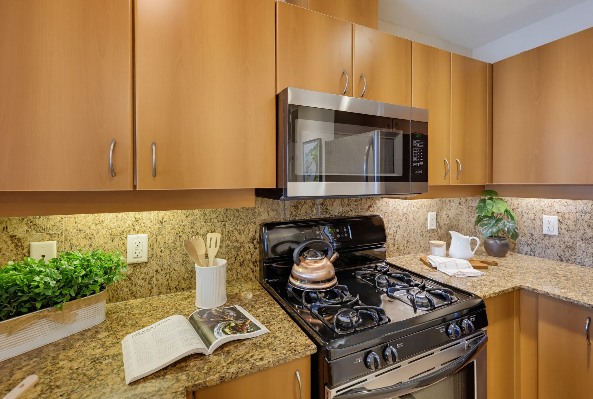 Virtual tour photo 24 of 54 for 300 W Beech St #1101