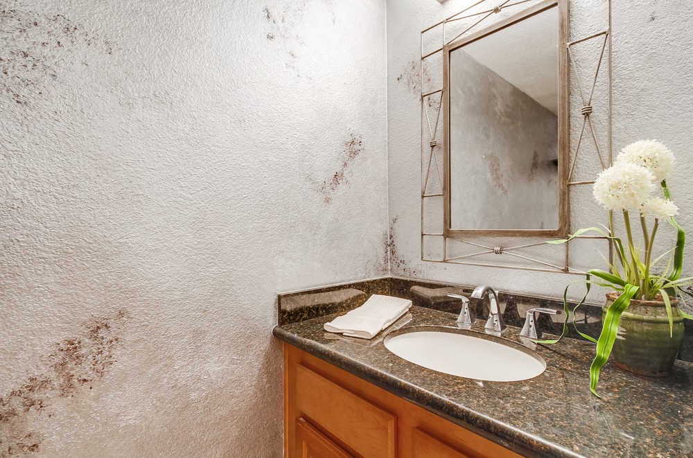 Virtual tour photo 38 of 77 for 301 W G St