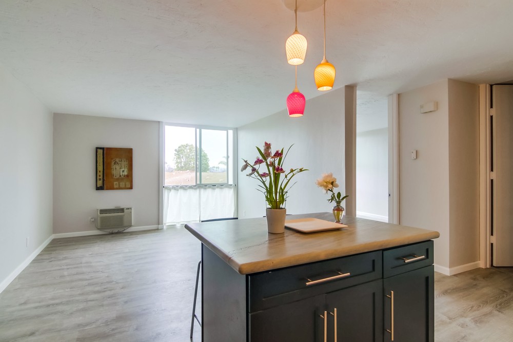 Virtual tour photo 18 of 27 for 3050 Rue Dorleans D