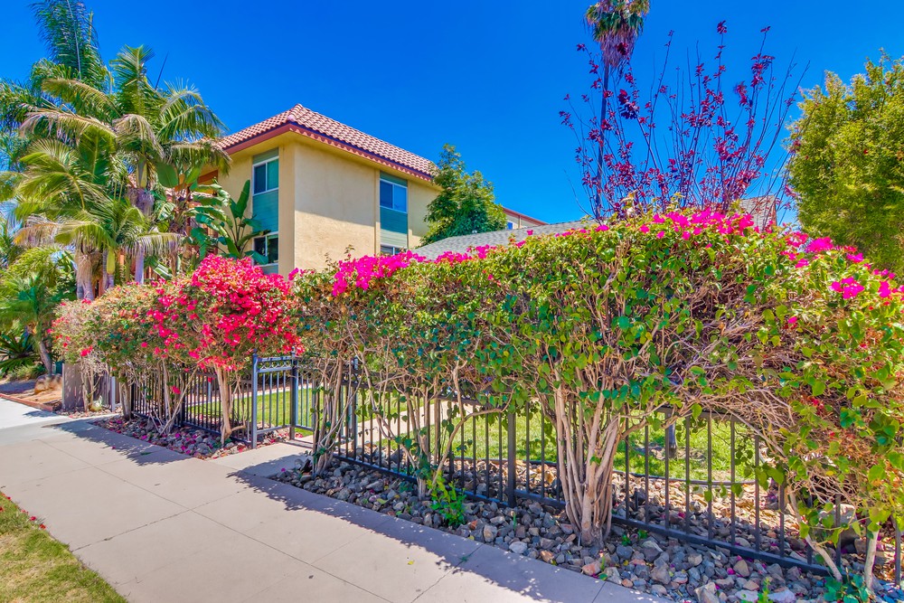 Virtual tour photo 1 of 73 for 3065 B St #69