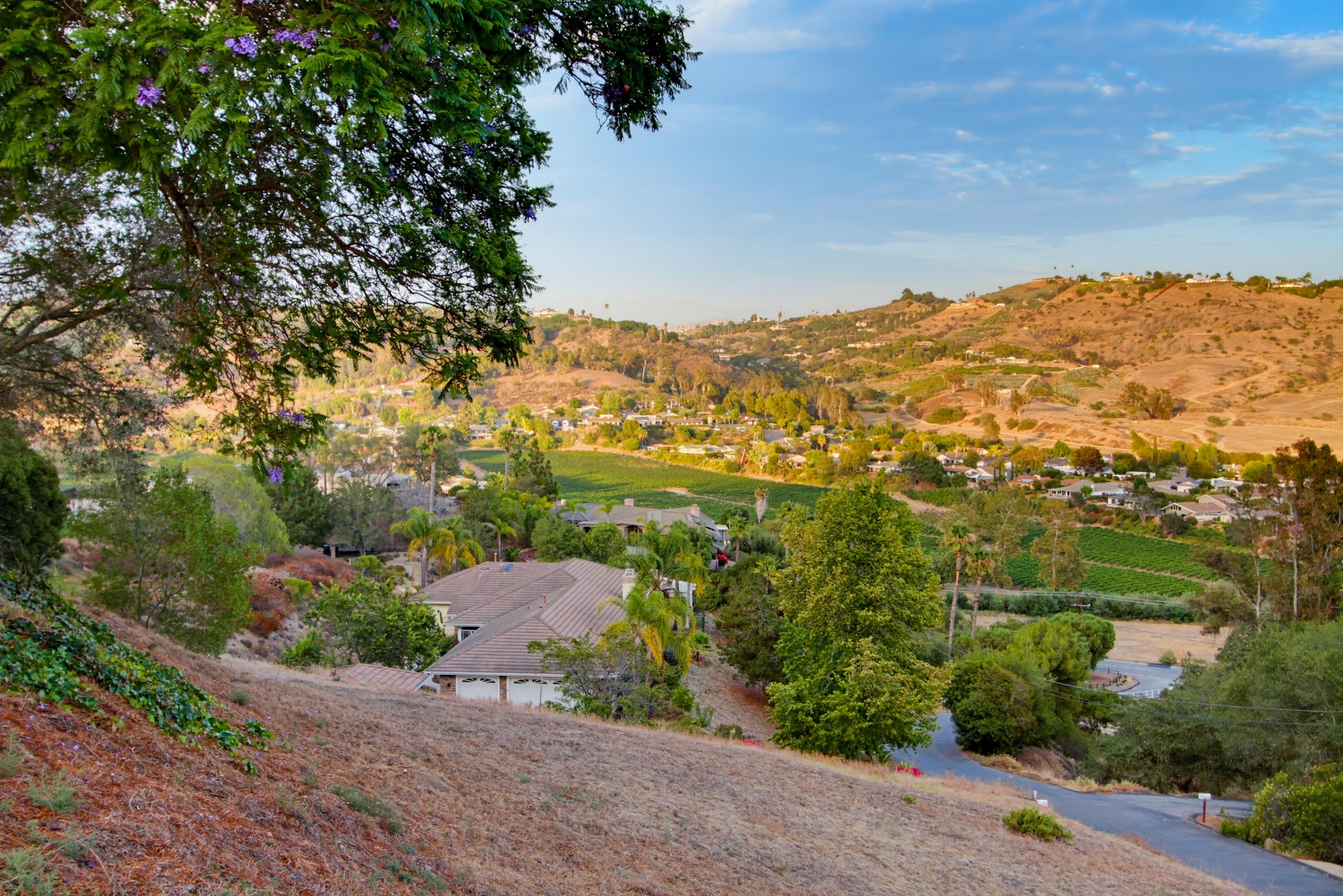 Virtual tour photo 98 of 100 for 3088 Skycrest Dr