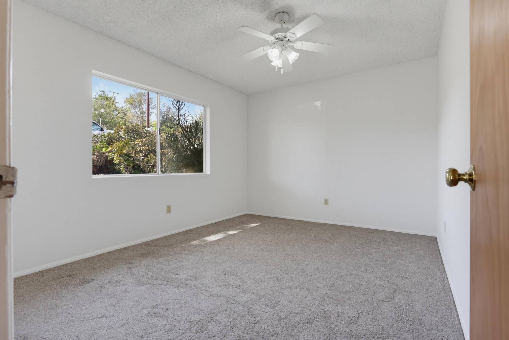 Virtual tour photo 17 of 37 for 310 Elbrook Dr