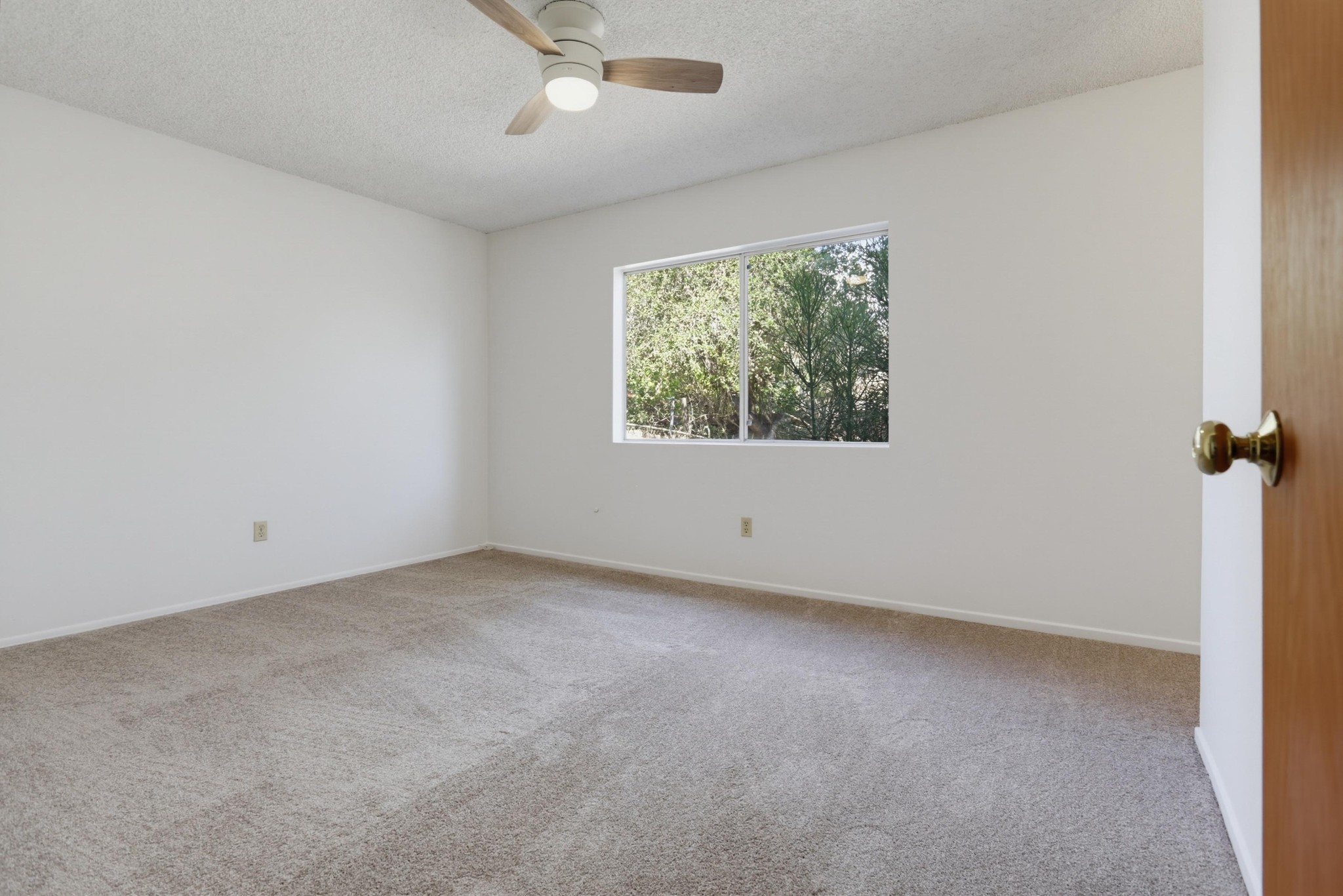 Virtual tour photo 22 of 37 for 310 Elbrook Dr