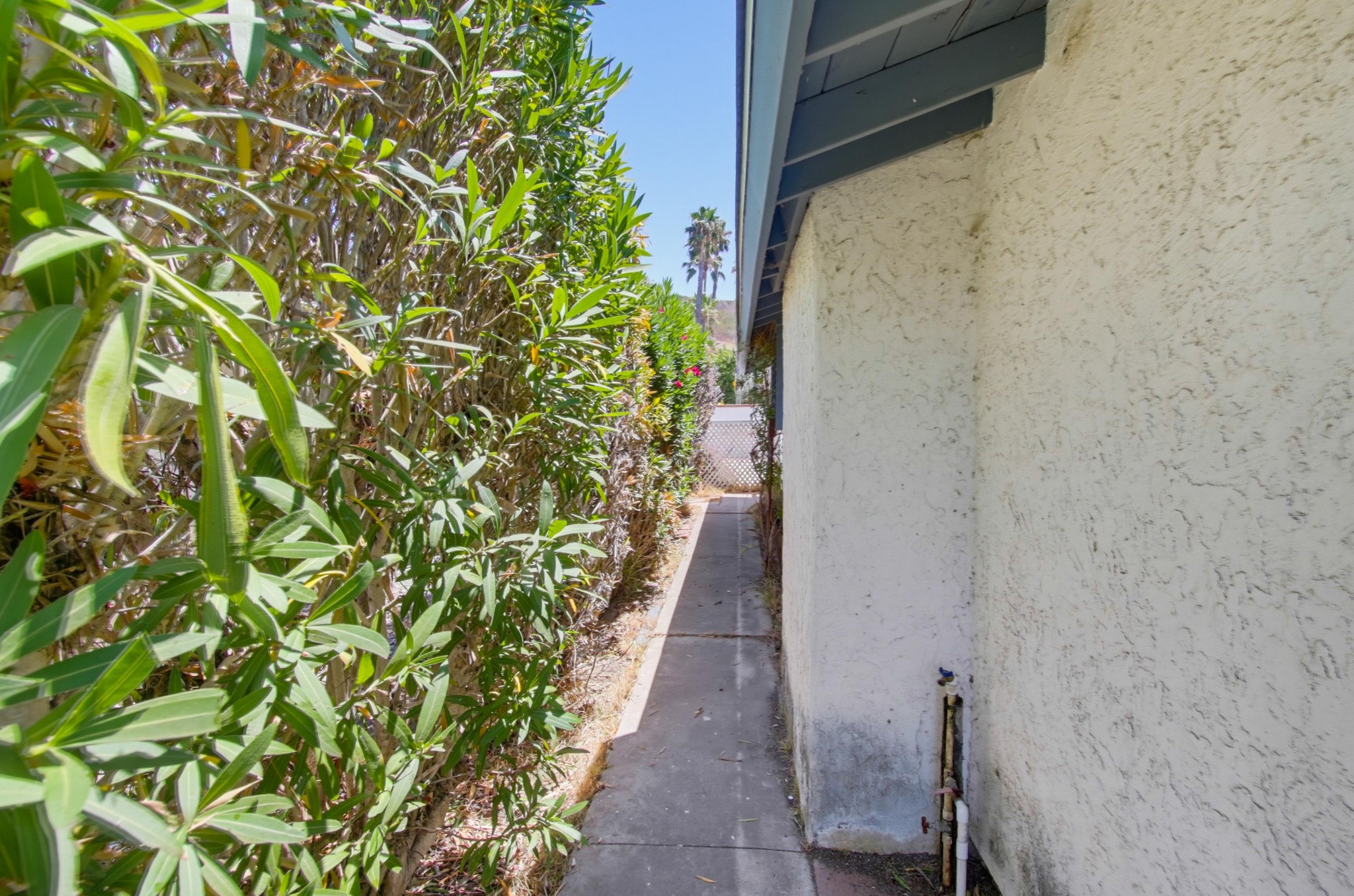 Virtual tour photo 50 of 60 for 31122 Old River Rd