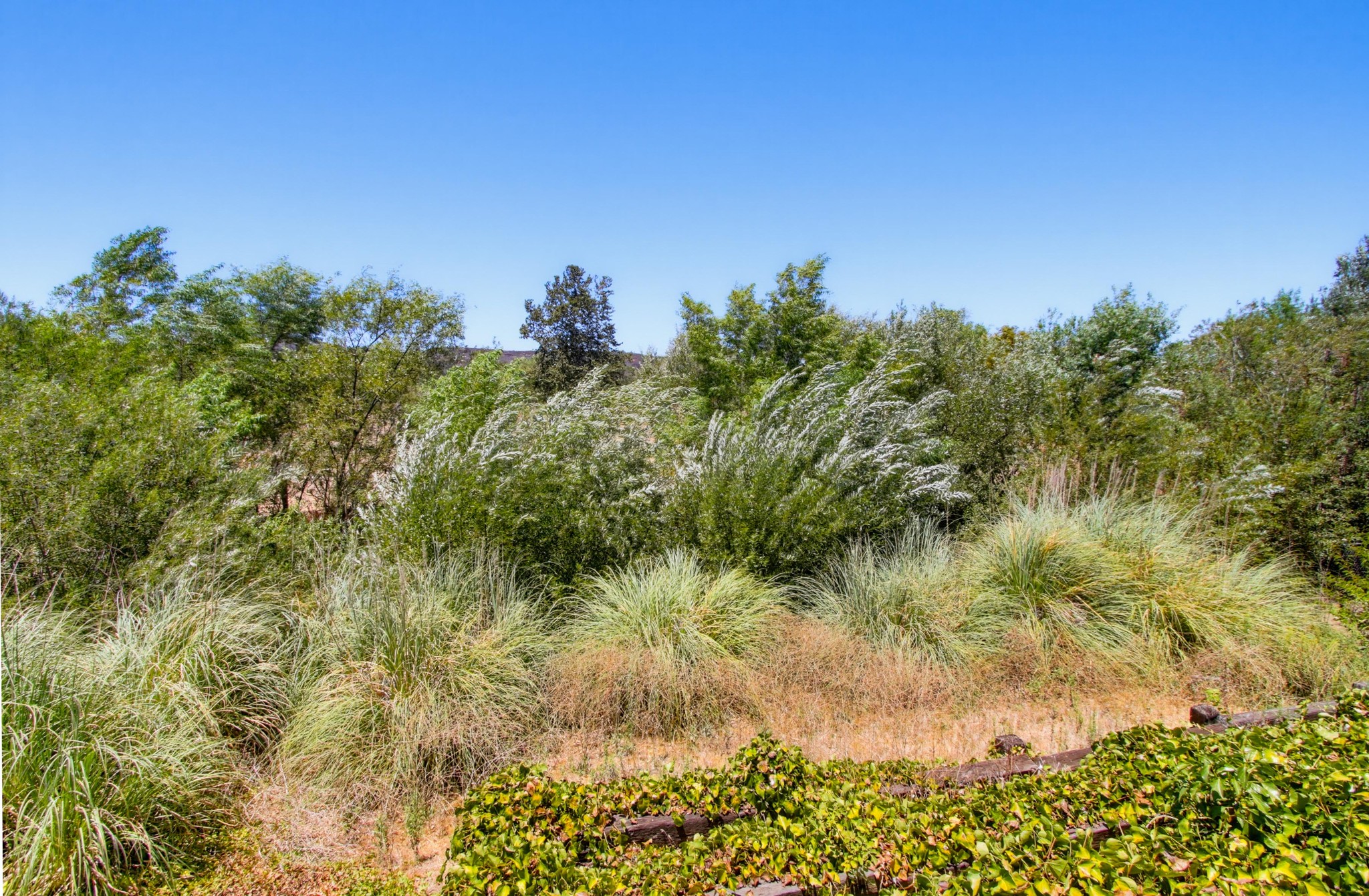 Virtual tour photo 53 of 60 for 31122 Old River Rd