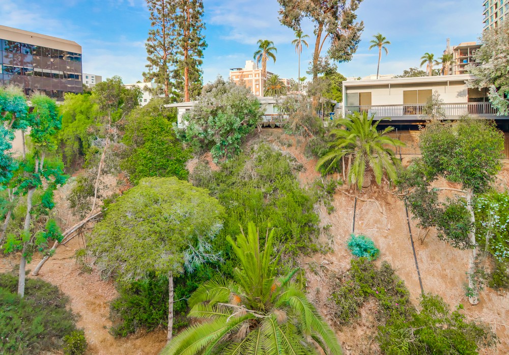 Virtual tour photo 65 of 65 for 3115 Third Ave