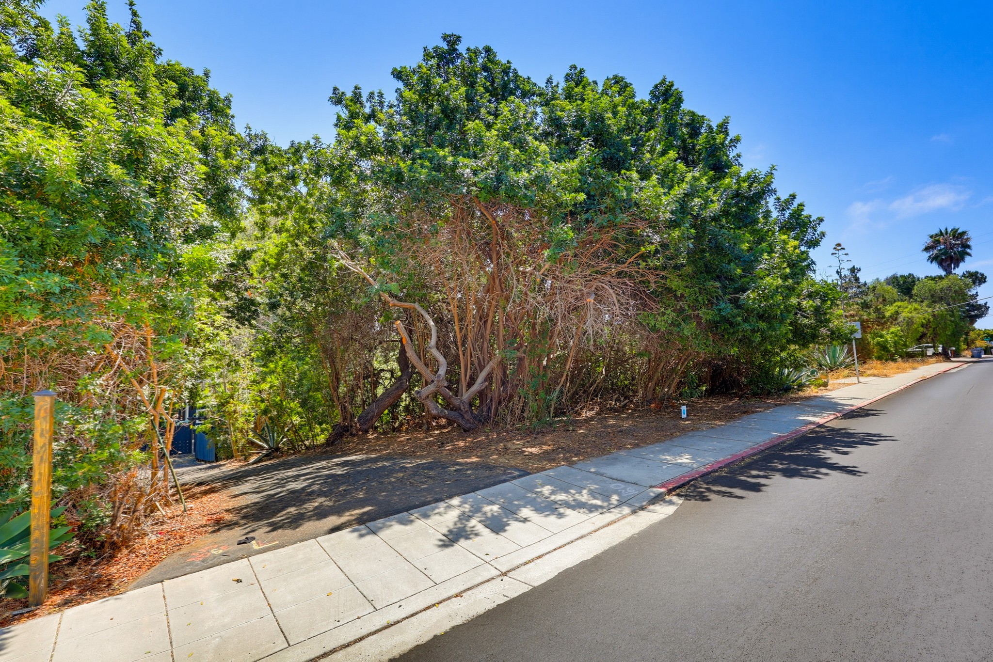 Virtual tour photo 3 of 82 for 3121 Boundary St
