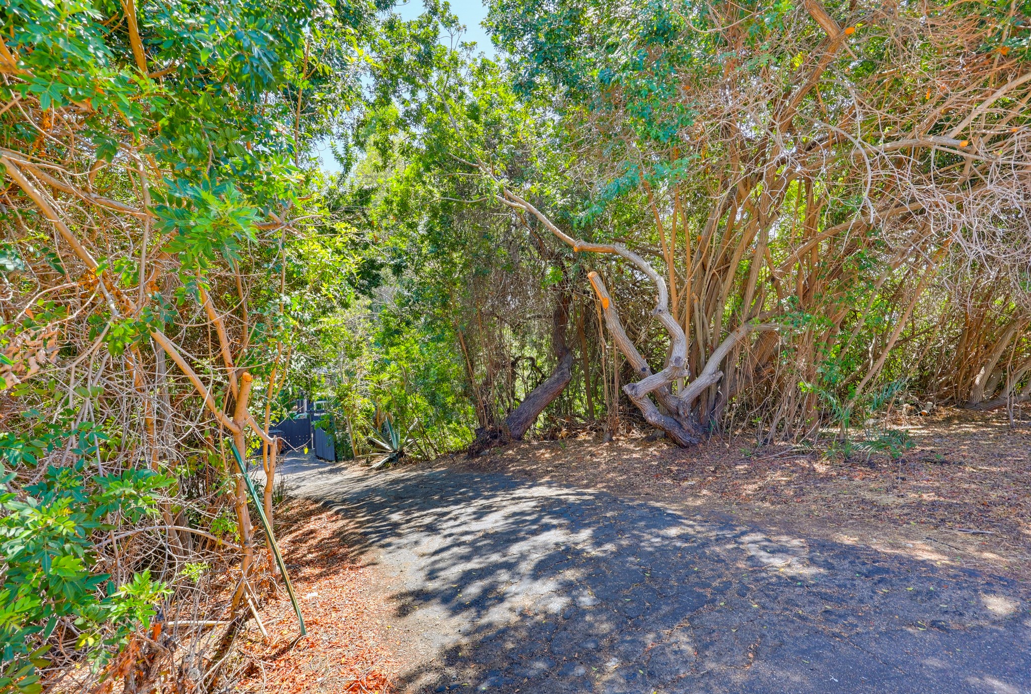 Virtual tour photo 6 of 82 for 3121 Boundary St