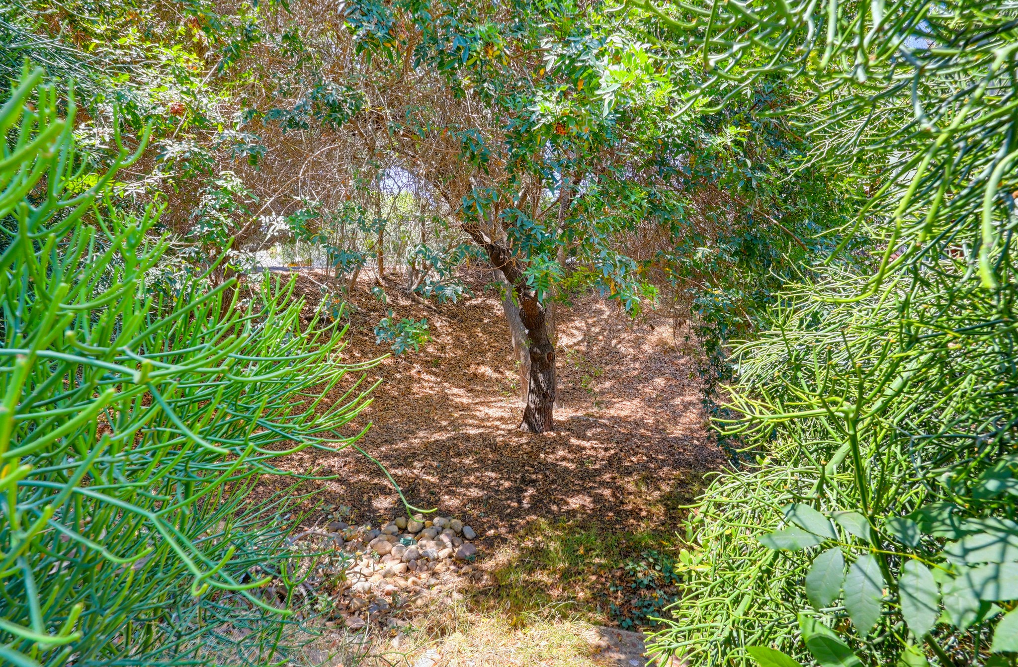 Virtual tour photo 10 of 82 for 3121 Boundary St