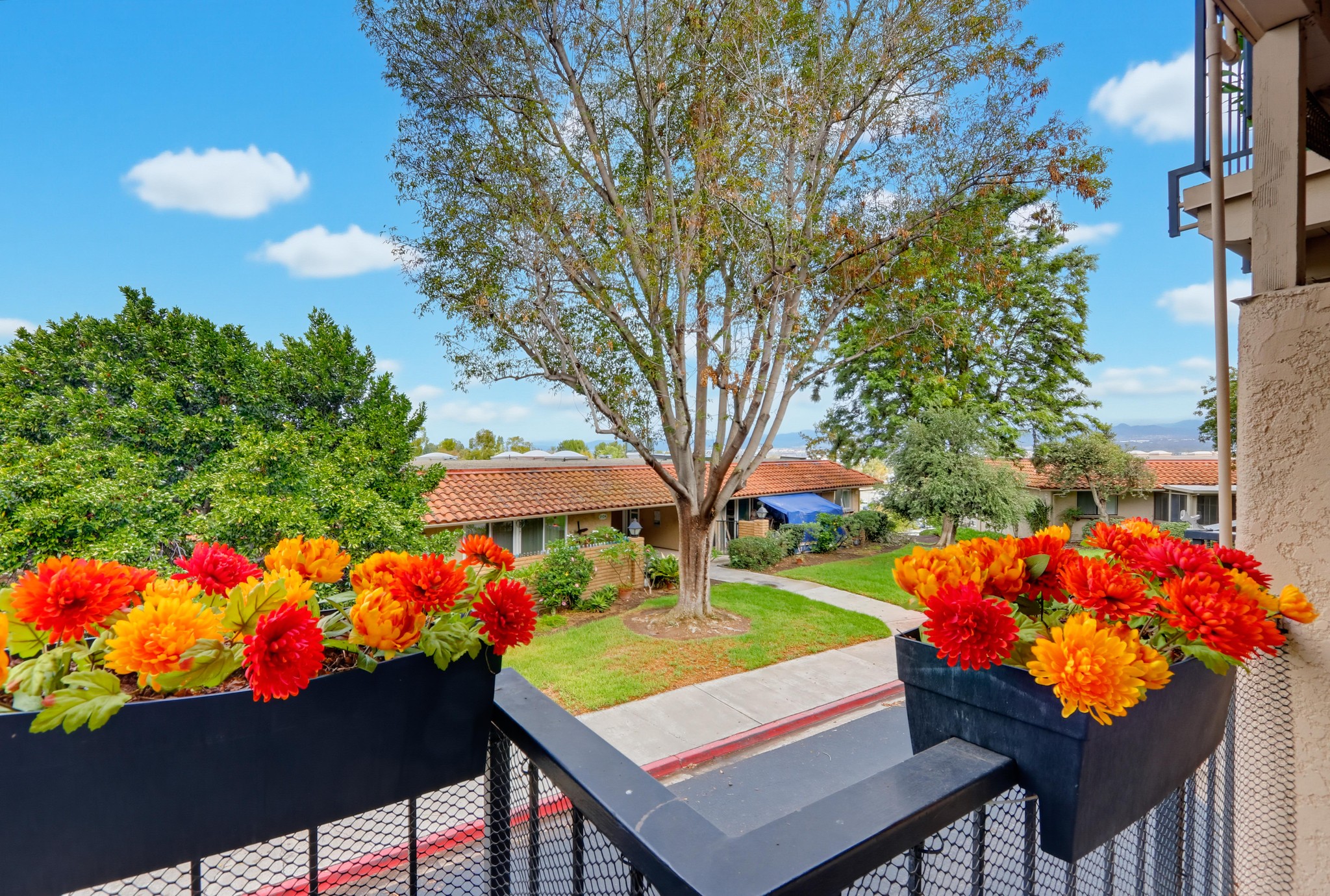 Virtual tour photo 48 of 71 for 3123 Via Serena N Unit C