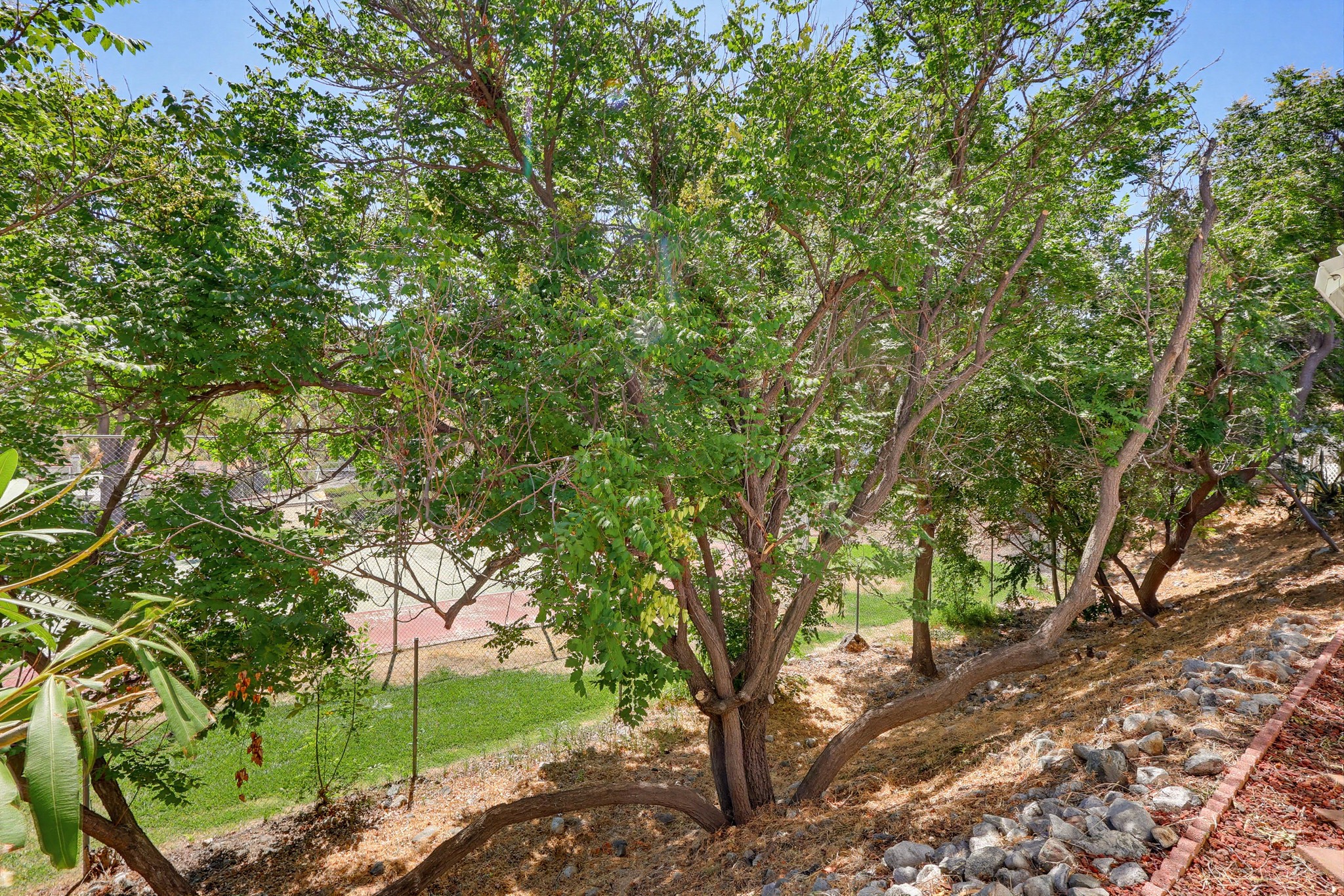Virtual tour photo 79 of 92 for 31244 N Lakehills Rd #17