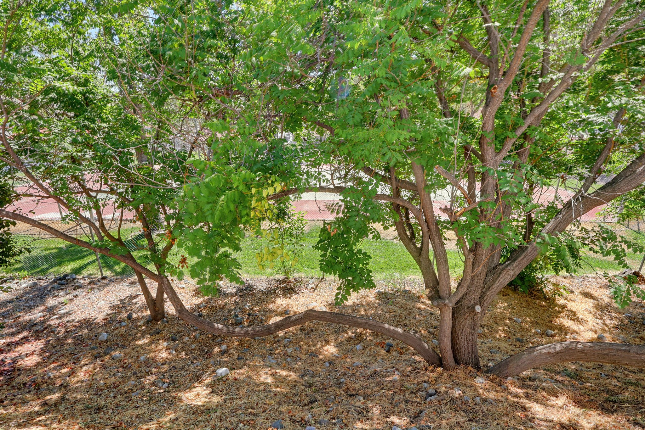 Virtual tour photo 80 of 92 for 31244 N Lakehills Rd #17