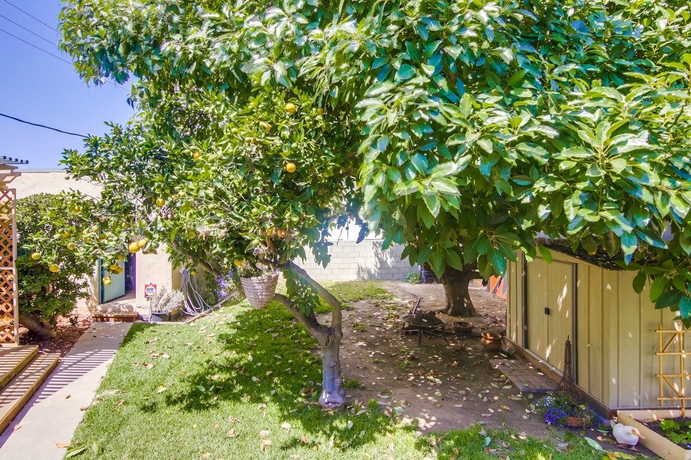 Virtual tour photo 35 of 36 for 3144 Fenelon St