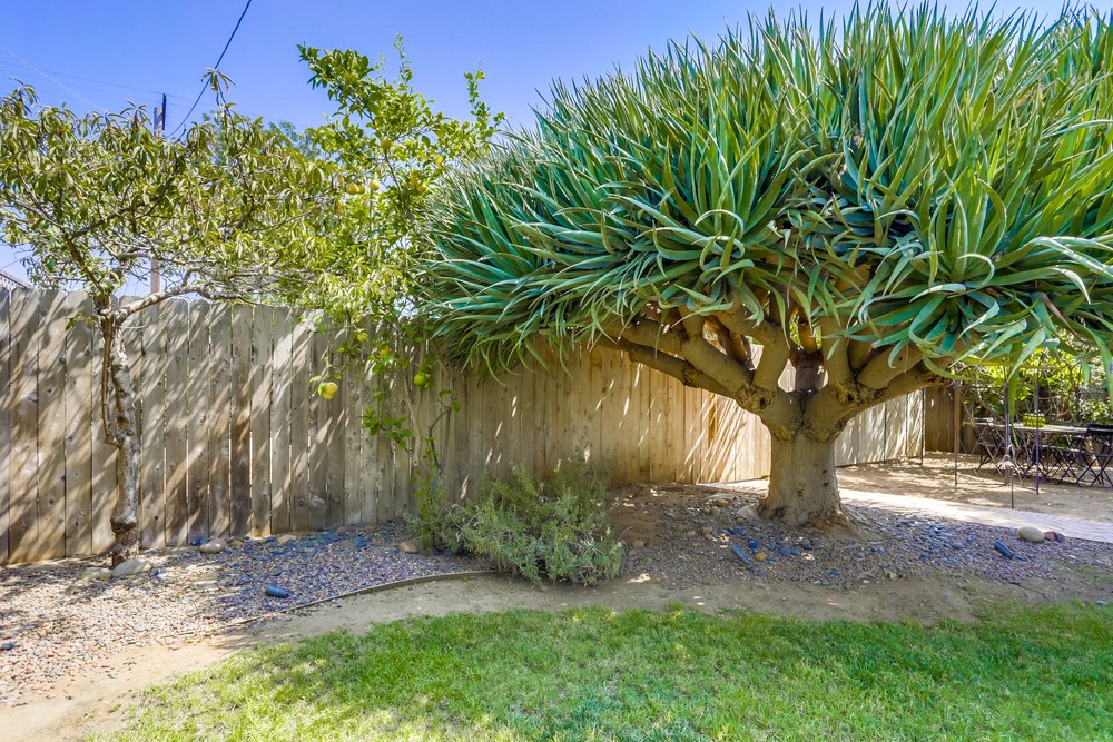 3146 L St | Rancho Photos