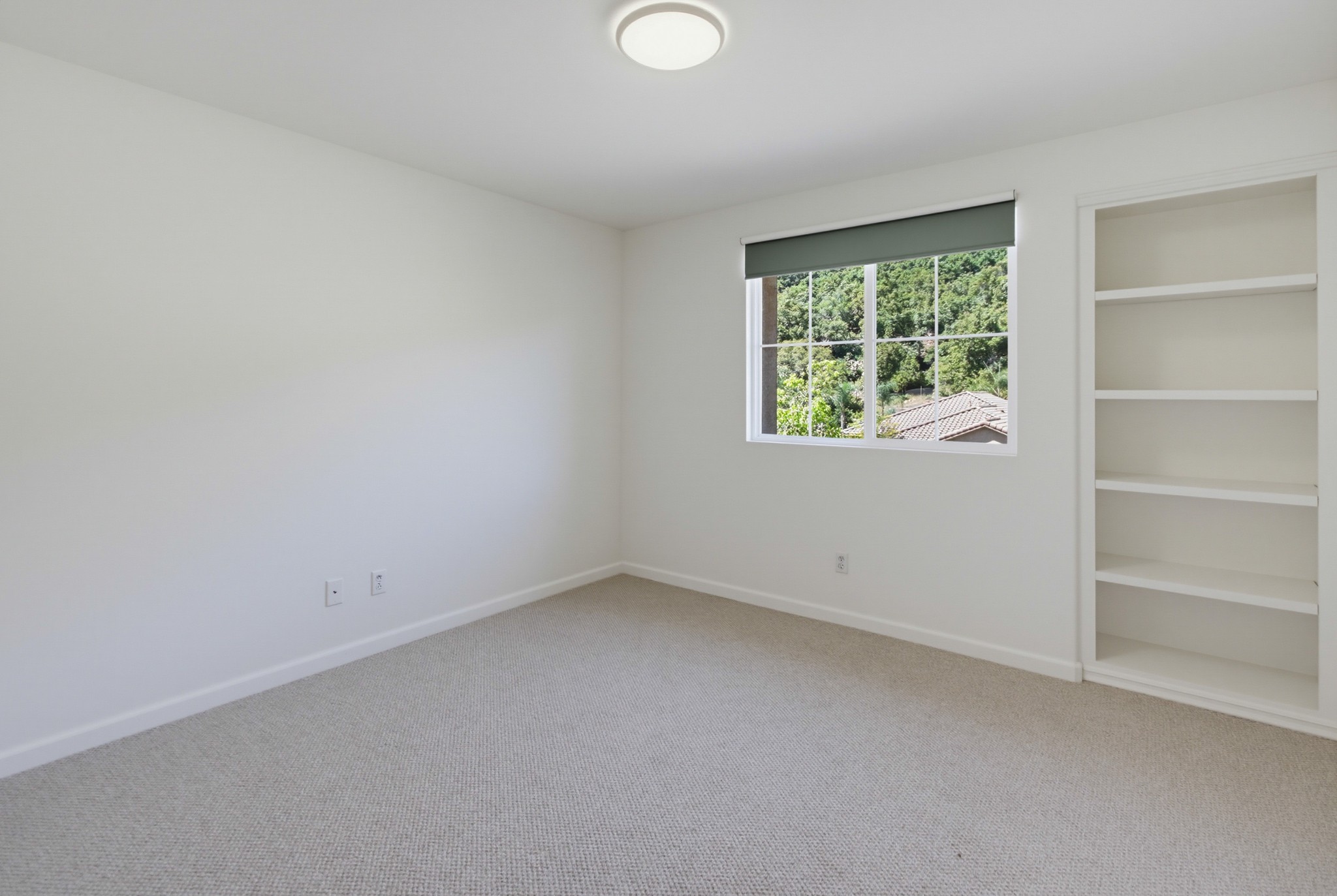 Virtual tour photo 47 of 106 for 3173 Willow Tree Ln