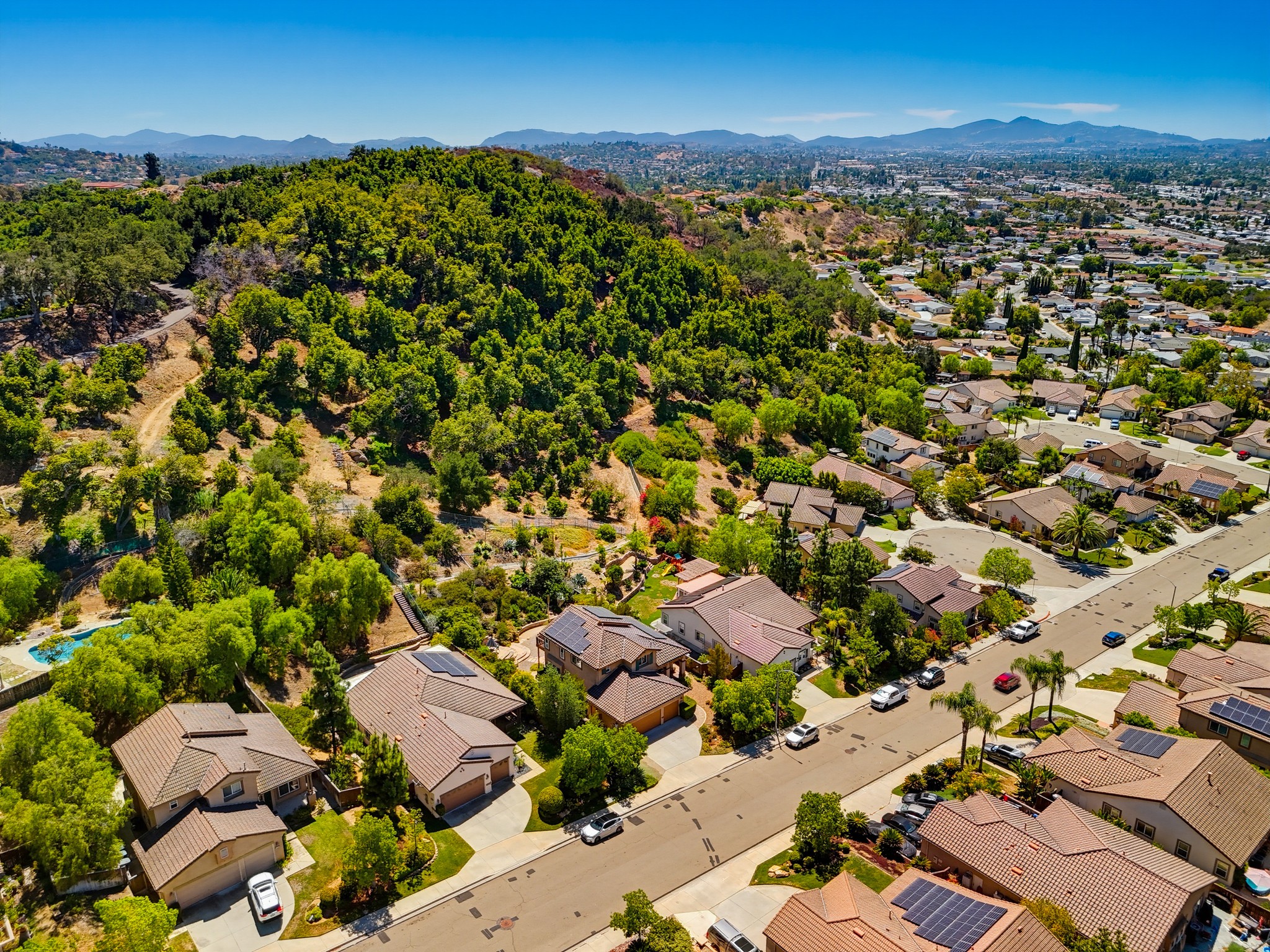 Virtual tour photo 89 of 106 for 3173 Willow Tree Ln