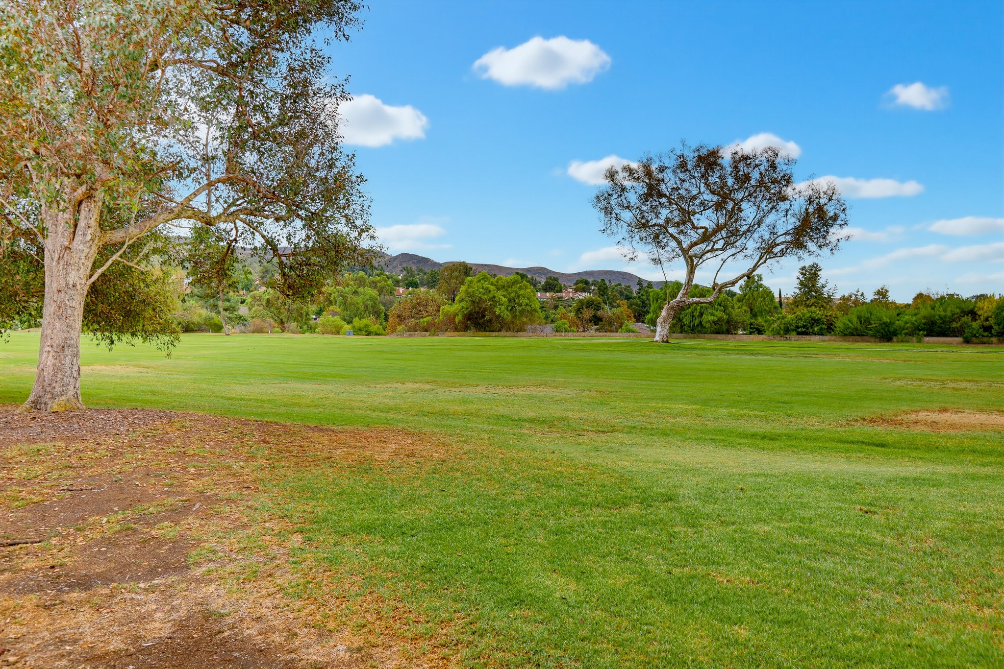 Virtual tour photo 90 of 92 for 31911 Via Flores #27