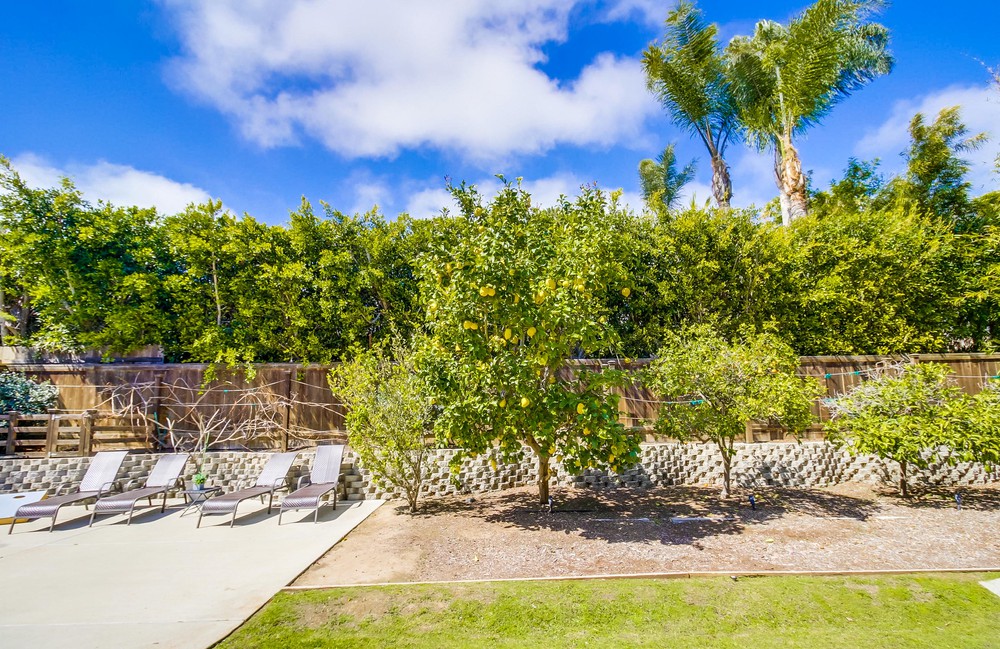 Virtual tour photo 148 of 150 for 320 San Elijo St