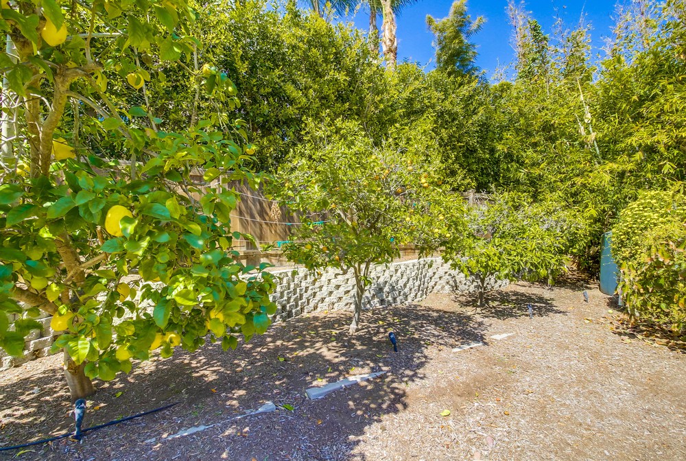 Virtual tour photo 149 of 150 for 320 San Elijo St