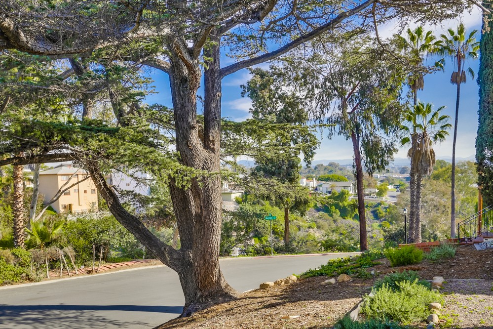 Virtual tour photo 59 of 60 for 3205 Hawthorn Street