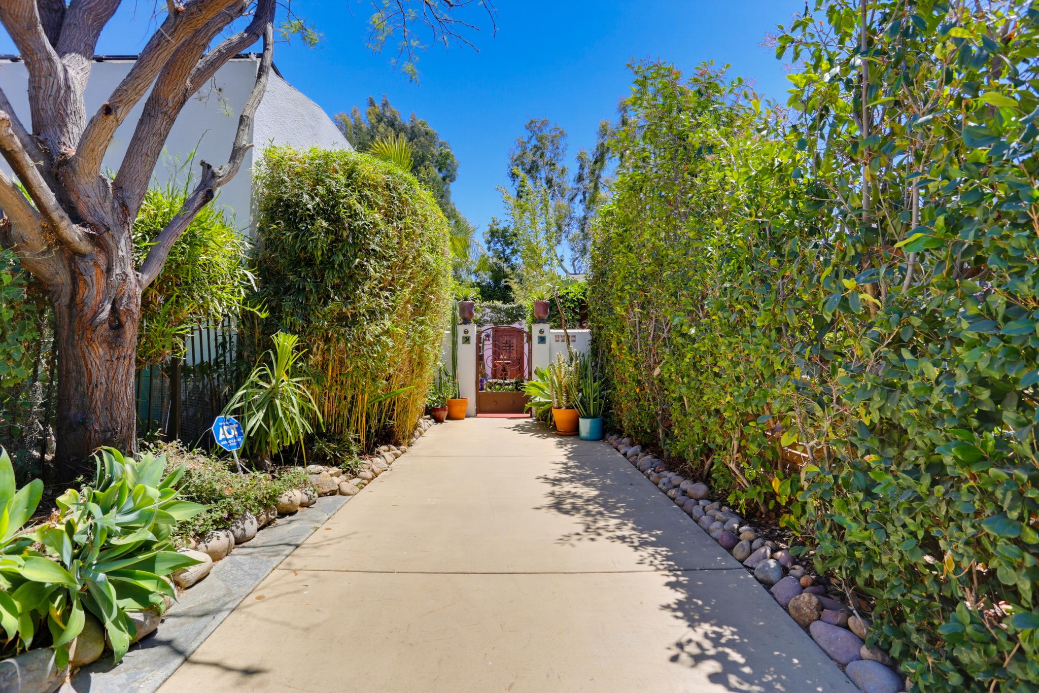 Virtual tour photo 1 of 35 for 3215 Juniper St