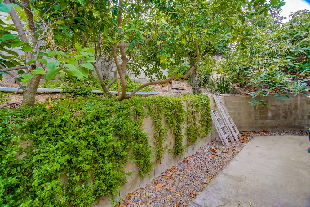 Virtual tour photo 49 of 53 for 3235 Horton Ave