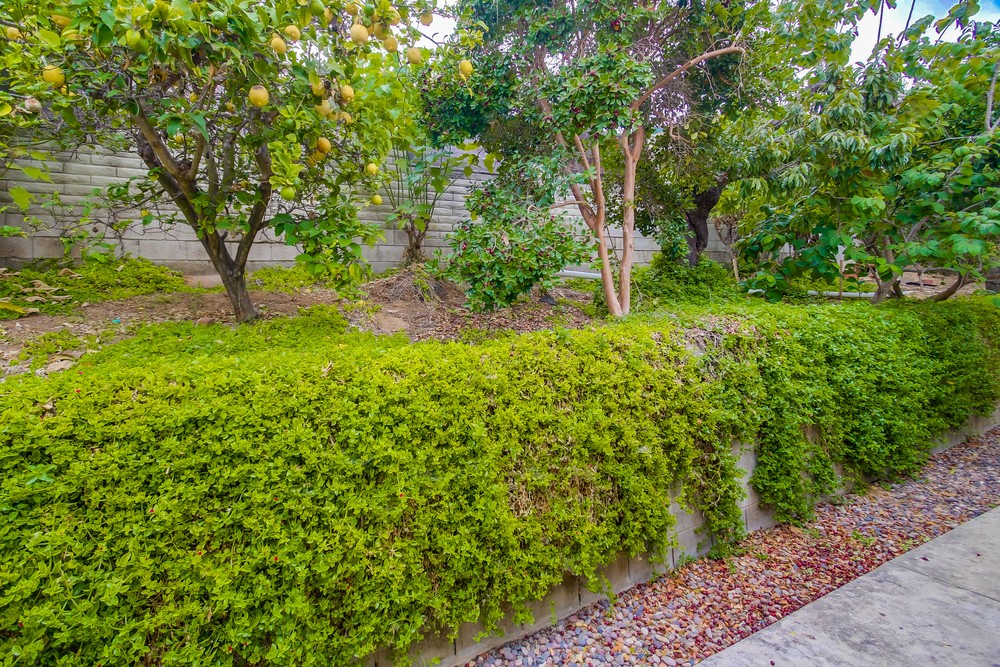 Virtual tour photo 53 of 53 for 3235 Horton Ave