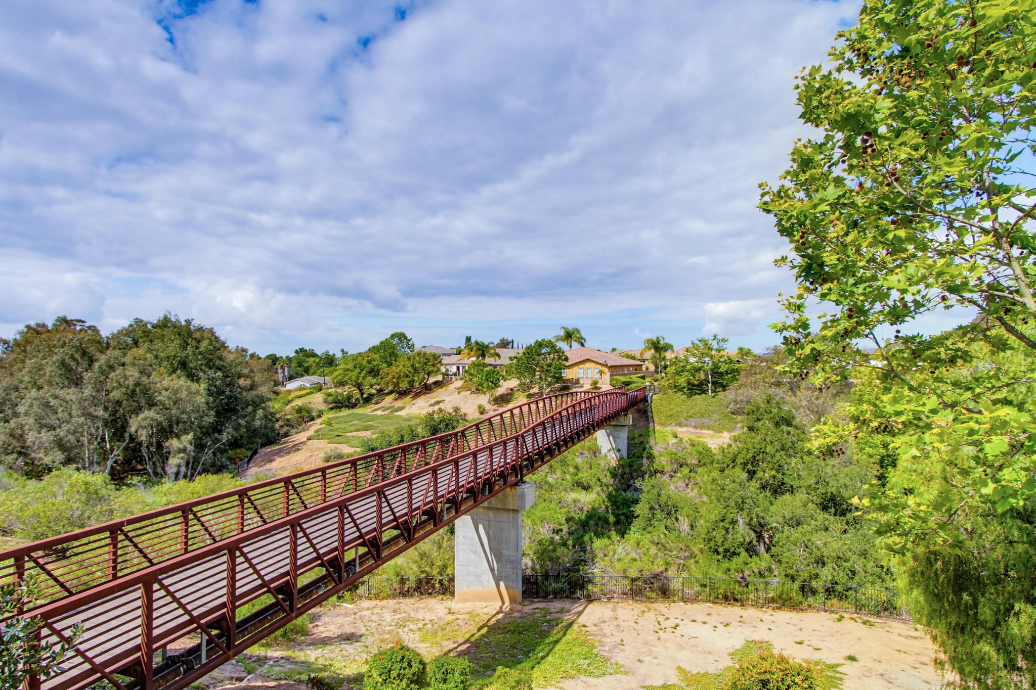 Virtual tour photo 50 of 65 for 352 Tom McGuinness Jr Circle