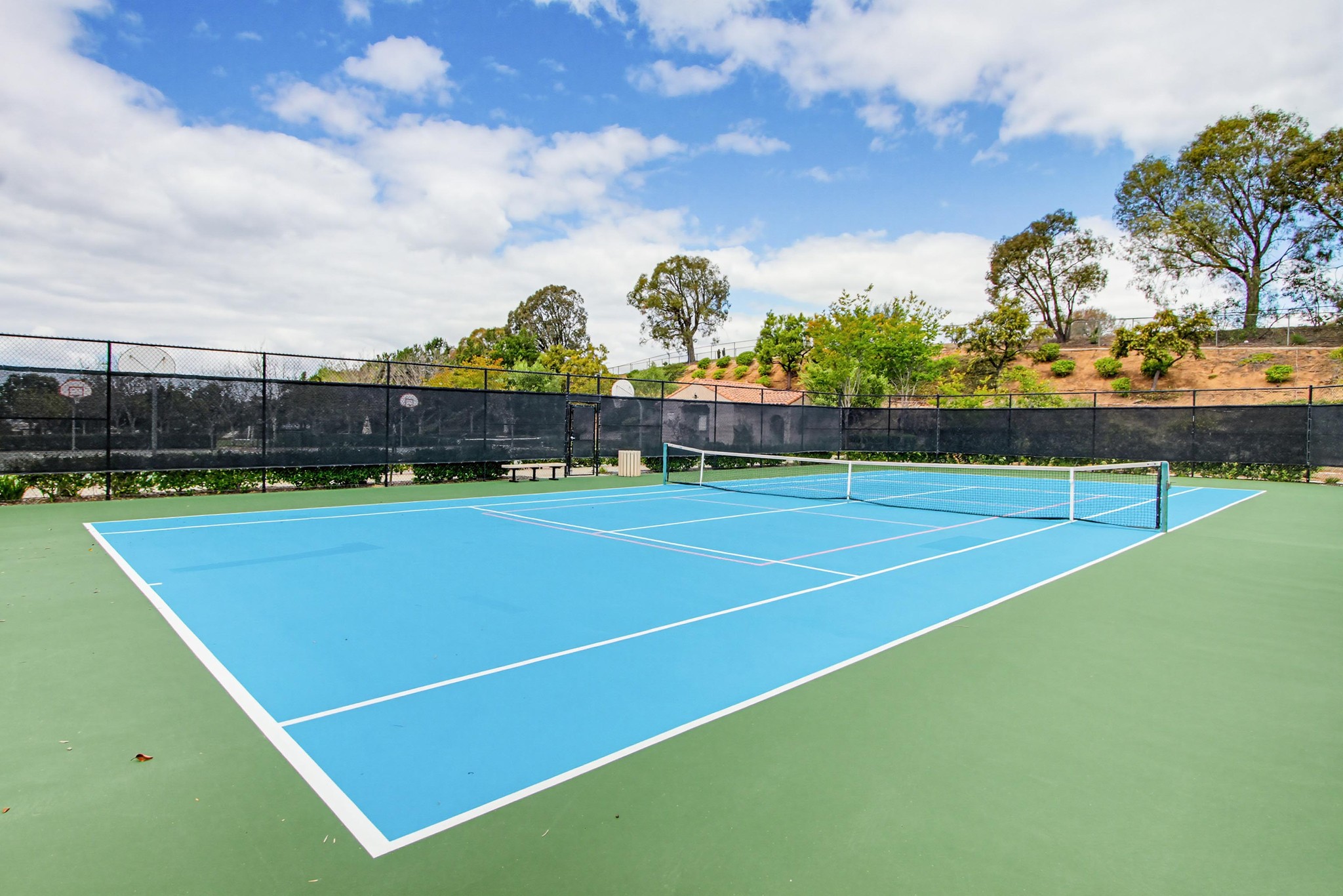Virtual tour photo 60 of 65 for 352 Tom McGuinness Jr Circle