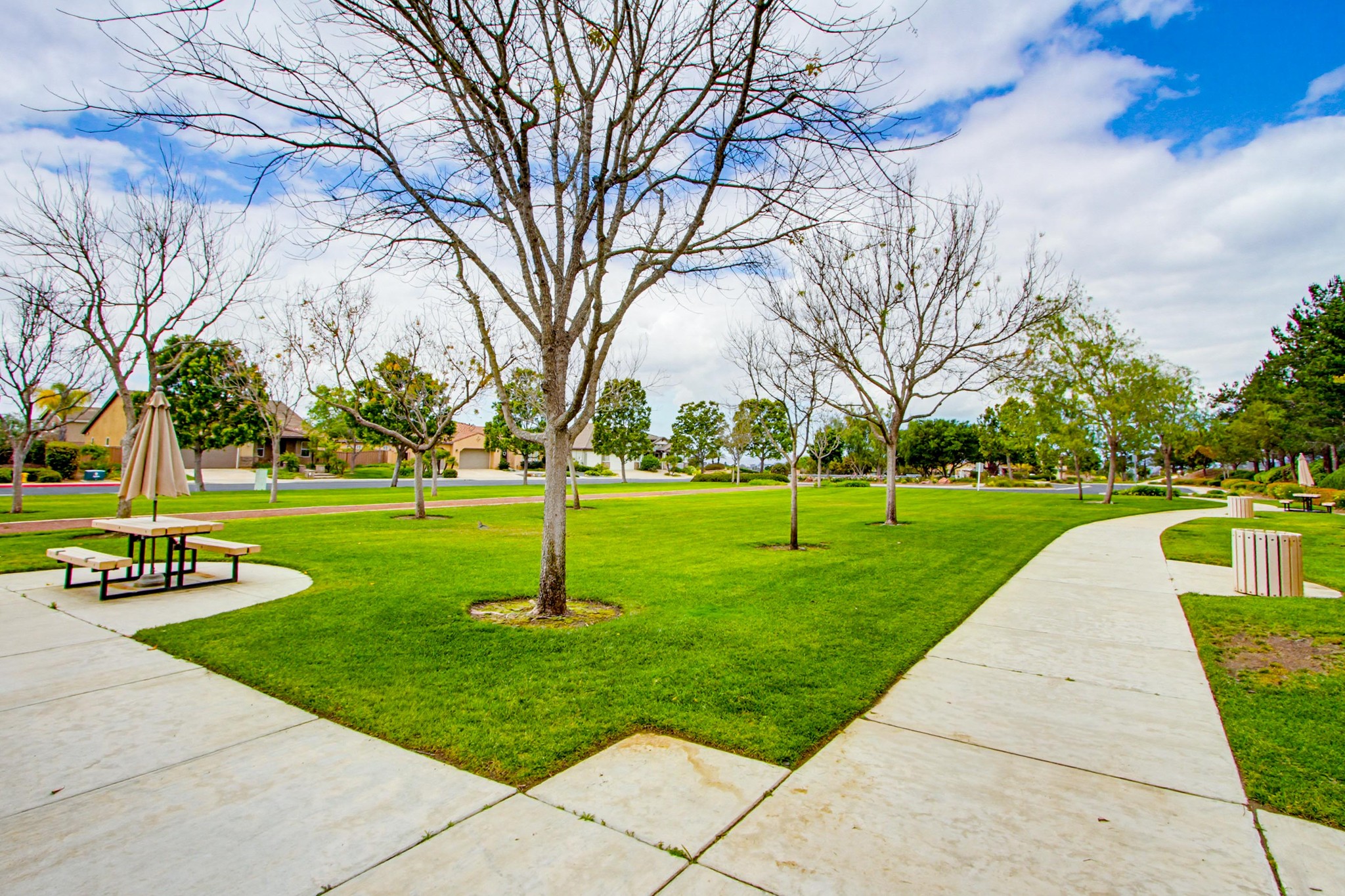 Virtual tour photo 63 of 65 for 352 Tom McGuinness Jr Circle