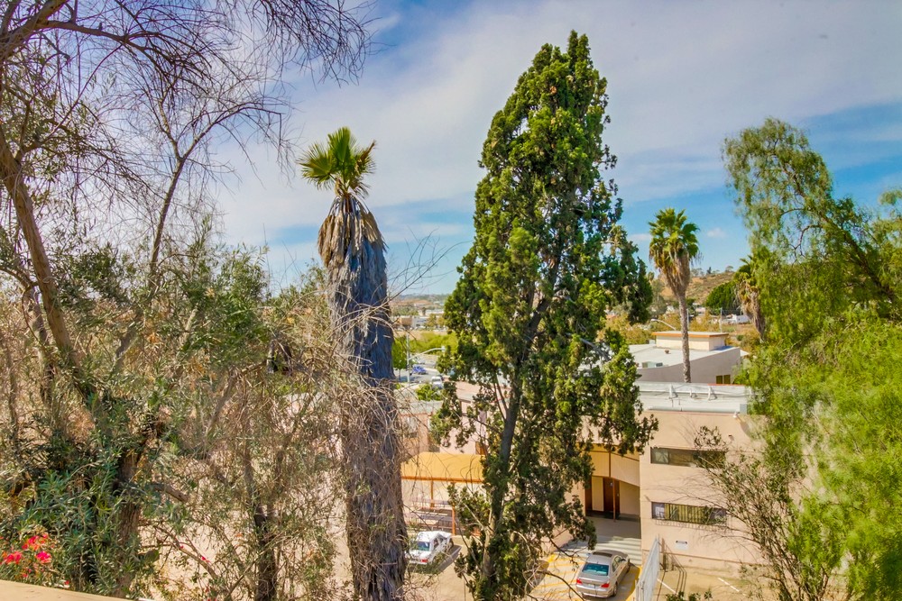 Virtual tour photo 33 of 38 for 326 Thrush St