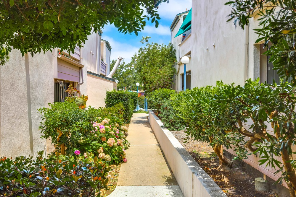 Virtual tour photo 31 of 37 for 3276 Ashford St Unit D