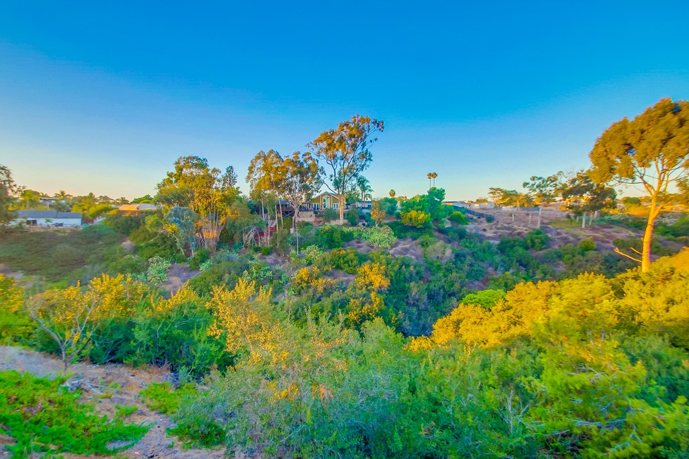 Virtual tour photo 87 of 87 for 3276 Karok Ave