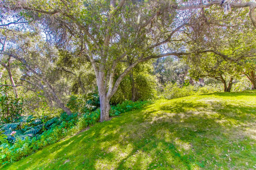 Virtual tour photo 39 of 46 for 3290 6th Avenue #4B
