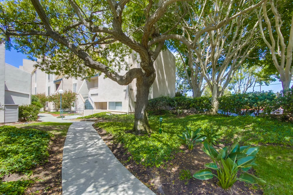 Virtual tour photo 40 of 43 for 3290 Ashford St
