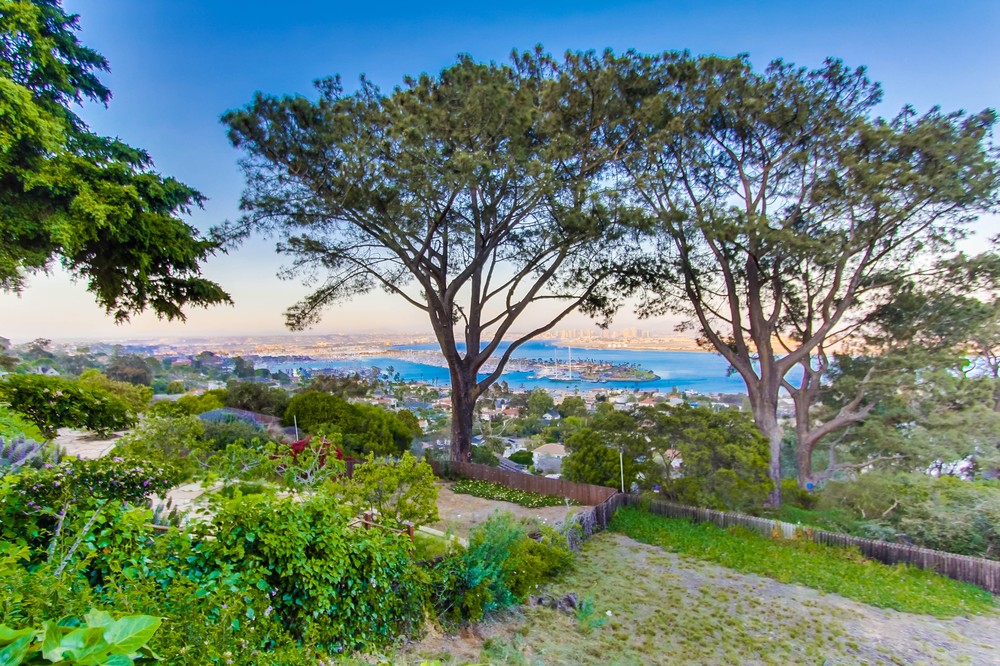 Virtual tour photo 63 of 64 for 3311 Kellogg Way