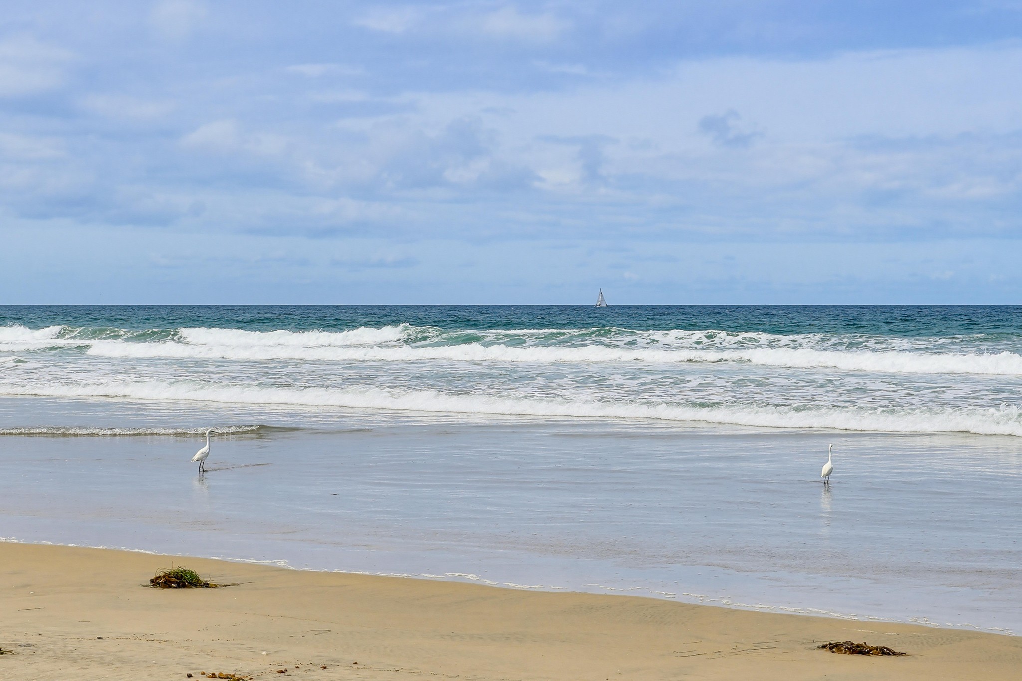 Virtual tour photo 73 of 82 for 3321 Ocean Front Walk