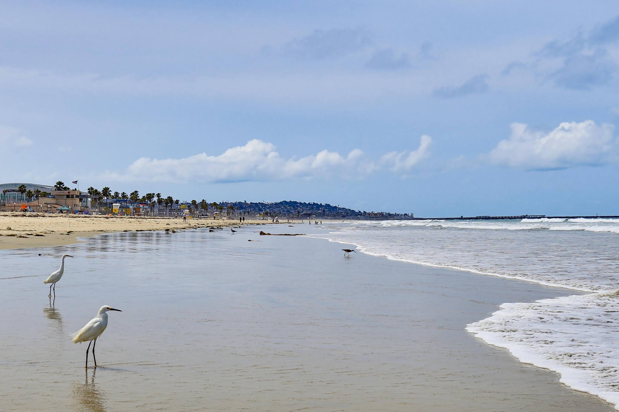 Virtual tour photo 75 of 82 for 3321 Ocean Front Walk