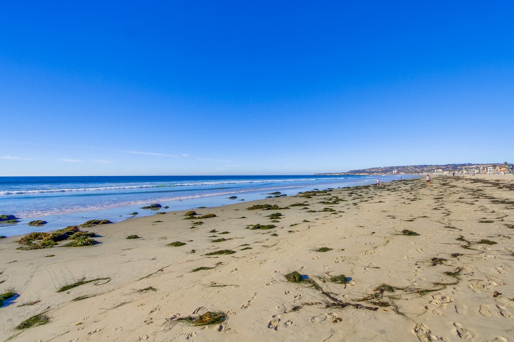 Virtual tour photo 60 of 60 for 3333 Ocean Front Walk UNIT 2