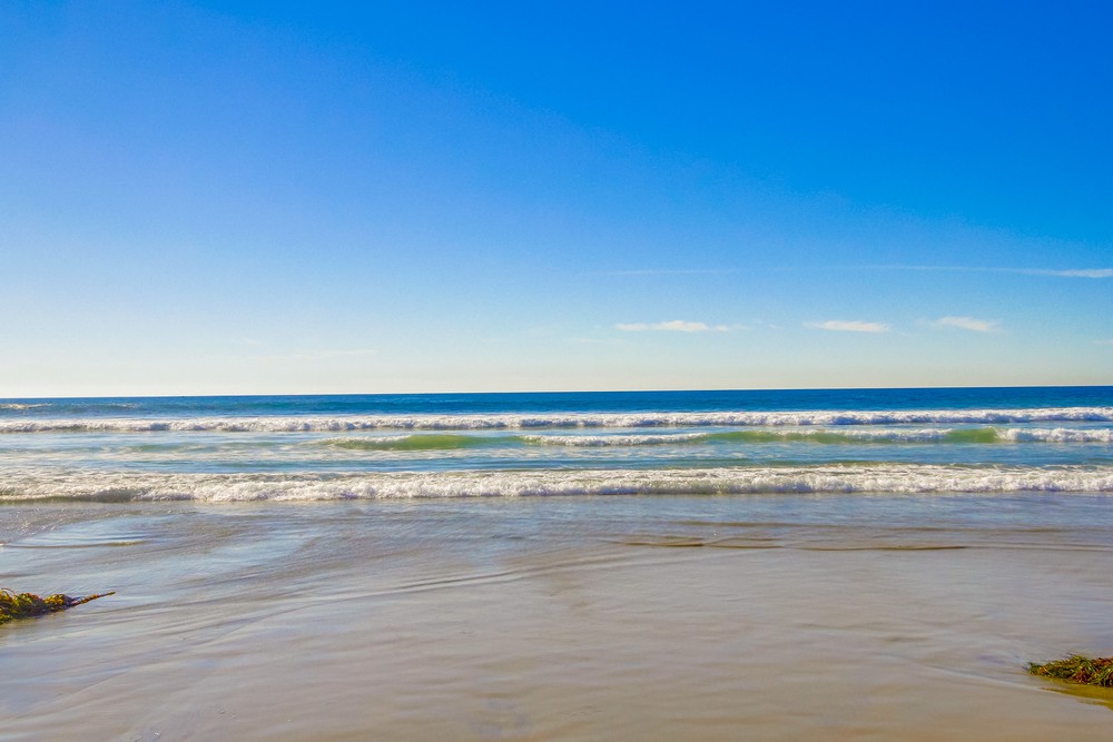 Virtual tour photo 61 of 60 for 3333 Ocean Front Walk UNIT 2