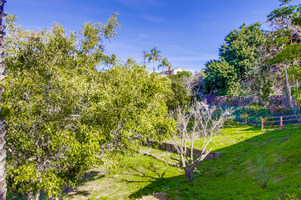 Virtual tour photo 60 of 65 for 3356 Moraga Pl