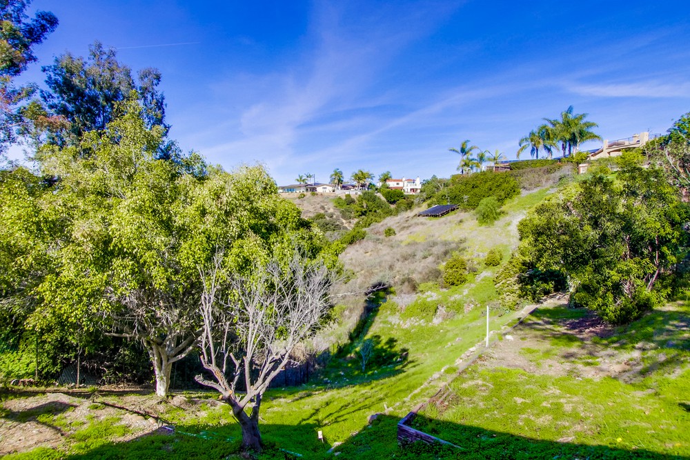 Virtual tour photo 62 of 65 for 3356 Moraga Pl