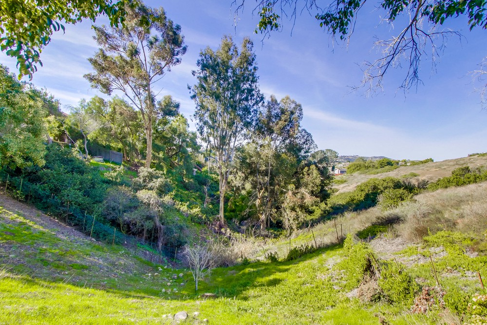 Virtual tour photo 64 of 65 for 3356 Moraga Pl