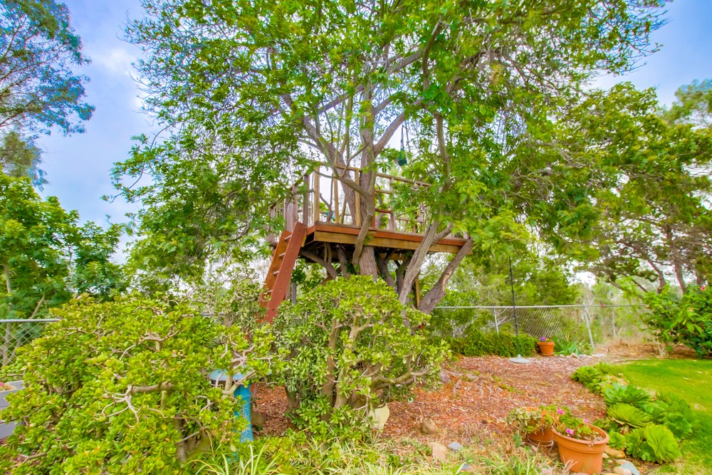 Virtual tour photo 41 of 50 for 3409 Mt Armour Ct